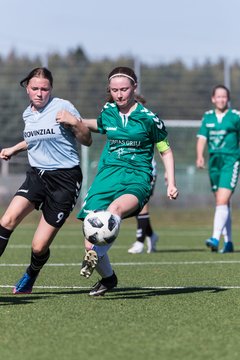 Bild 215 - wBJ FSG Kaltenkirchen - MSG Siebenbaeumen-Krummesse : Ergebnis: 2:5